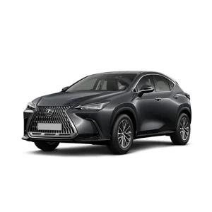 Renting Lexus NX